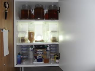 SDC11449.jpg