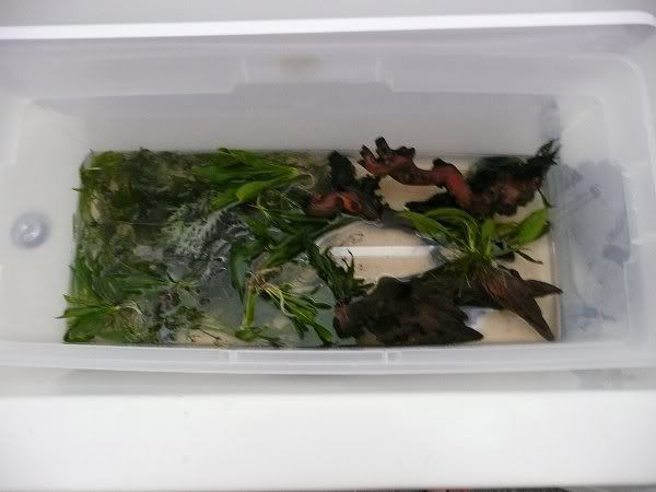 5-26-1.jpg