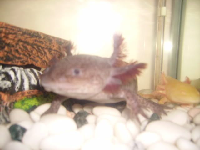 Picture007.jpg