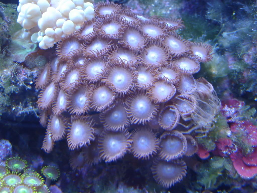 DSC01345.jpg