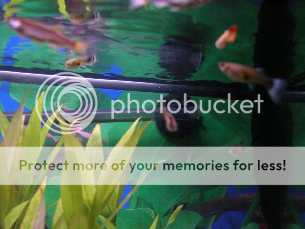 DSCN2926.jpg