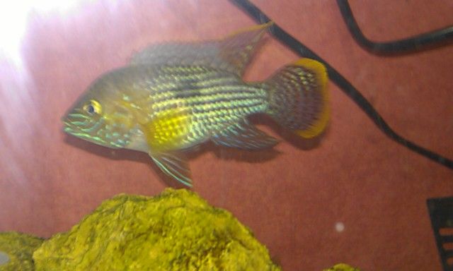 IMAG0305.jpg