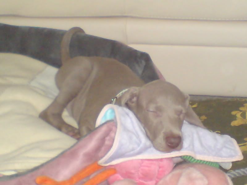 DSC00016-1.jpg