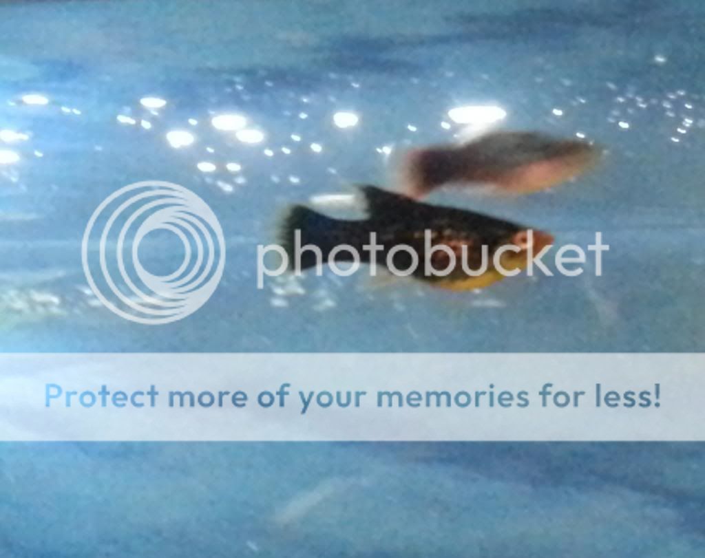 20121101_185526.jpg