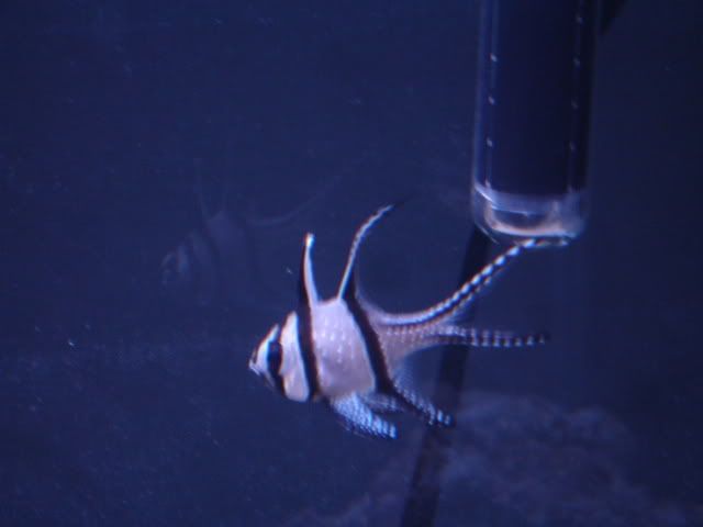 DSC04712.jpg