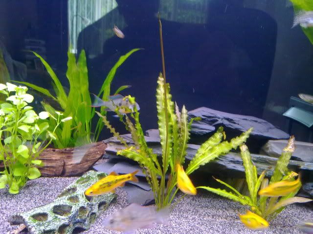 210620111151.jpg