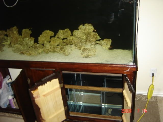 DSC06944.jpg