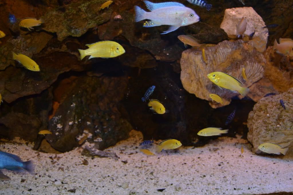 DSC_0051.jpg