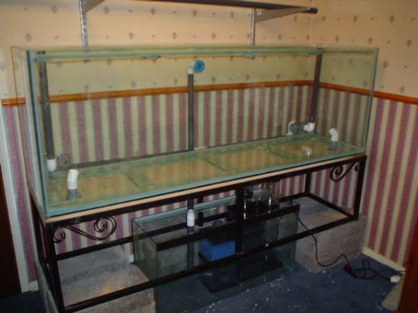bigtan1stsetup.jpg