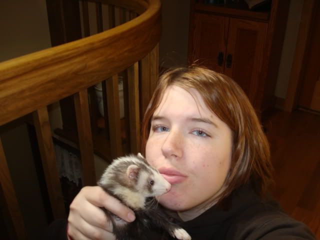 ferrets029-1.jpg