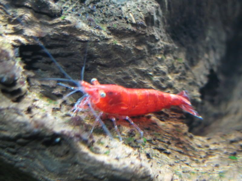IMG_1966.jpg