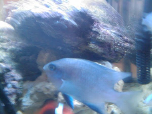 IMAG0073.jpg