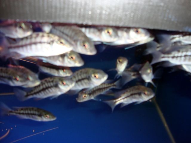 DSC01376.jpg