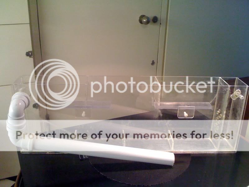 photo6-1.jpg