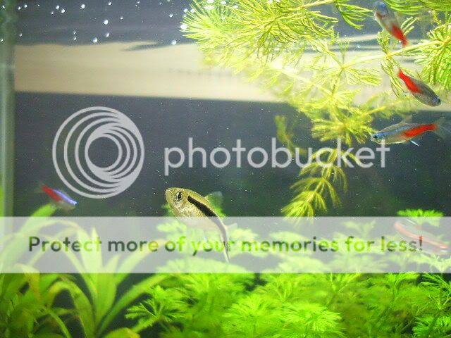 DSCF0035.jpg