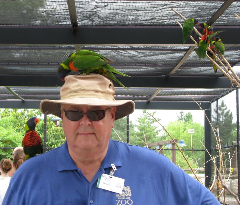 RainbowLorikeetsandKeeper.jpg