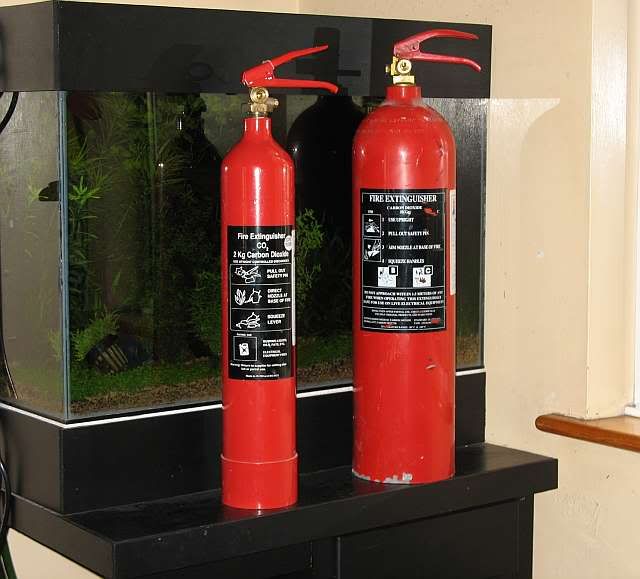 fire1.jpg