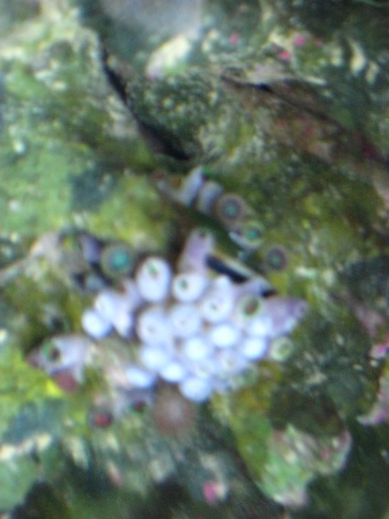 IMG_1000.jpg