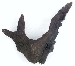 bogwood_black.jpg