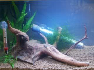 Picture632.jpg