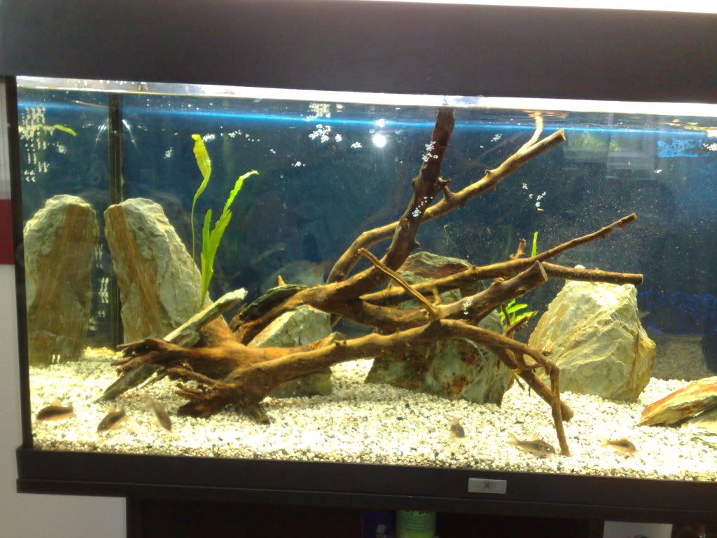 18082010035.jpg