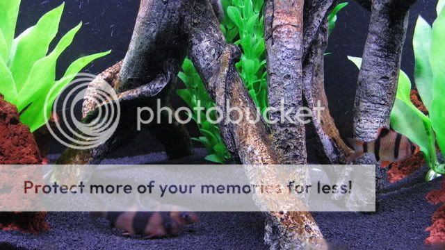 55G-028.jpg