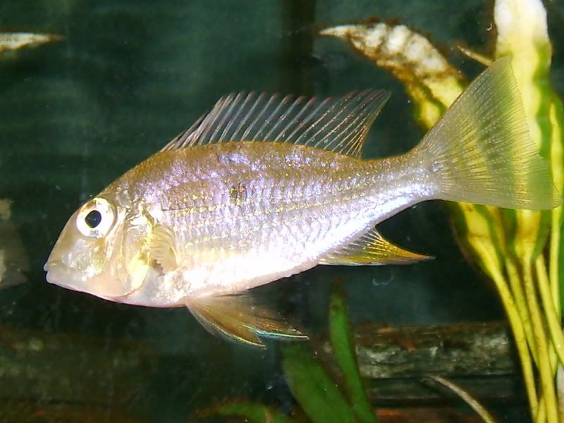 S5009851.jpg