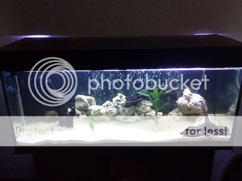 23082009239.jpg