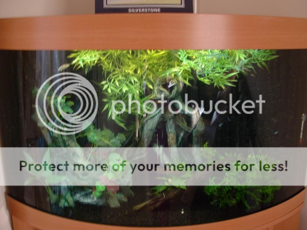 fishtank001a.jpg