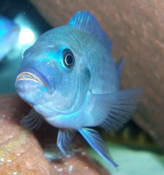 0702Male.jpg