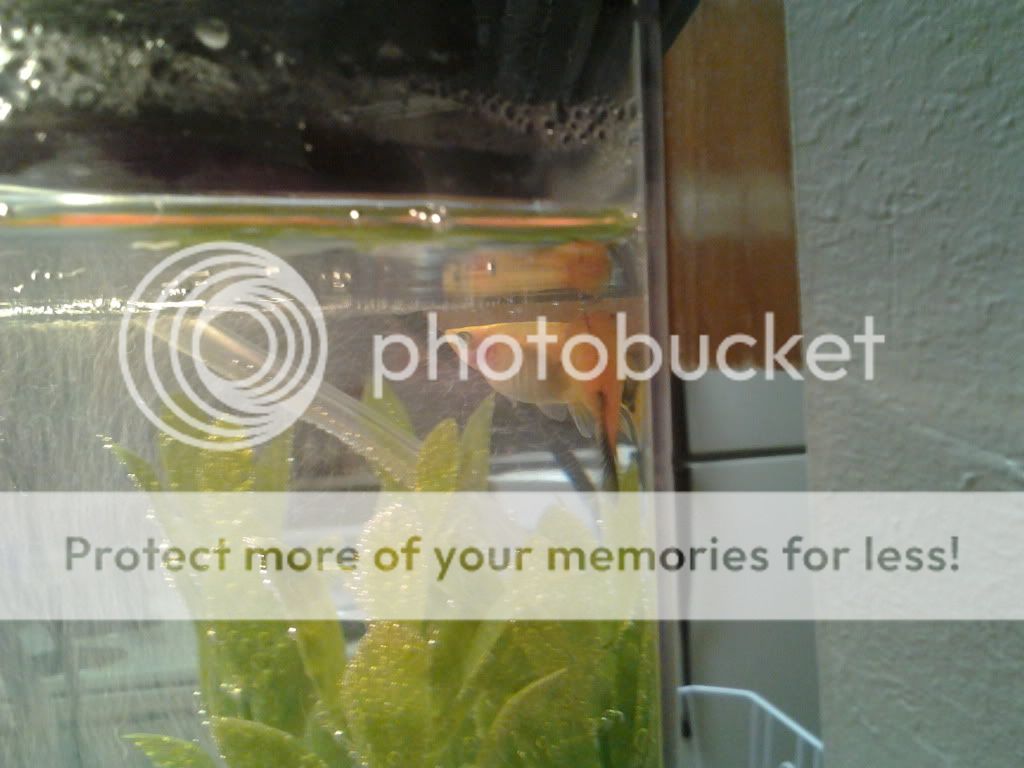 2012-01-25021036.jpg