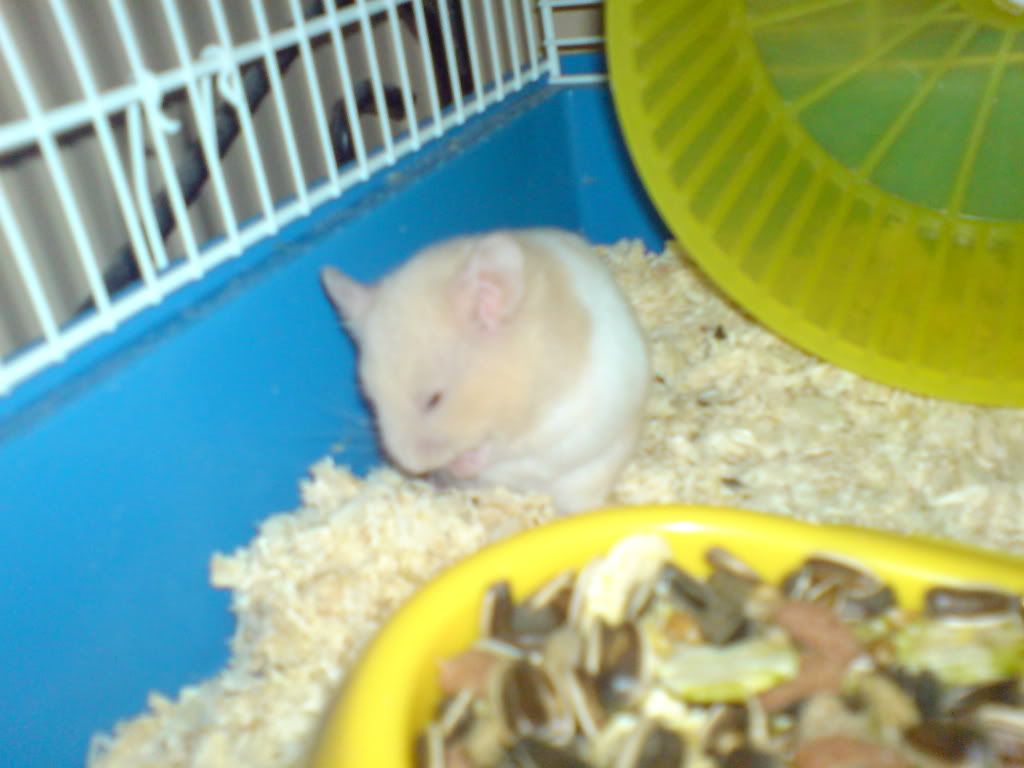 DSC01389.jpg