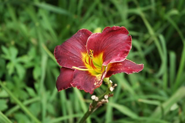 DSC_0076.jpg