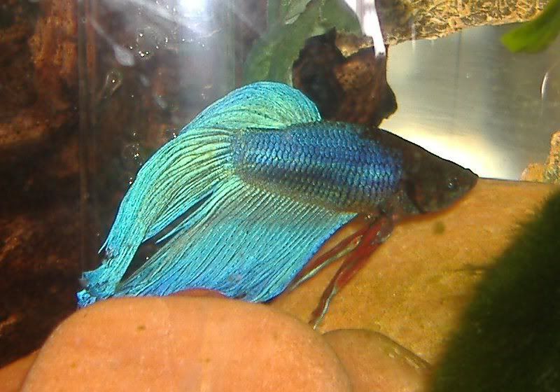 DSCF1580.jpg
