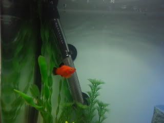 20121015_110025.jpg