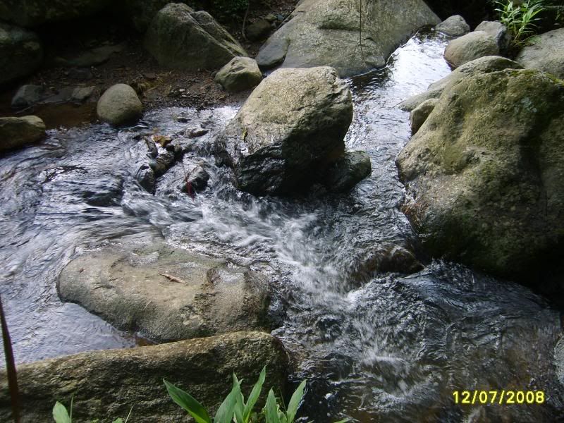 S5004881.jpg