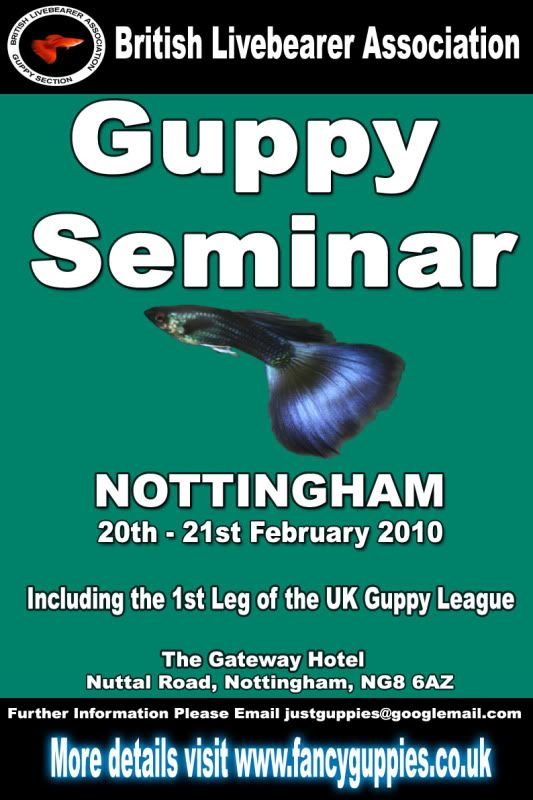 Guppy-seminar-fancyguppies.jpg