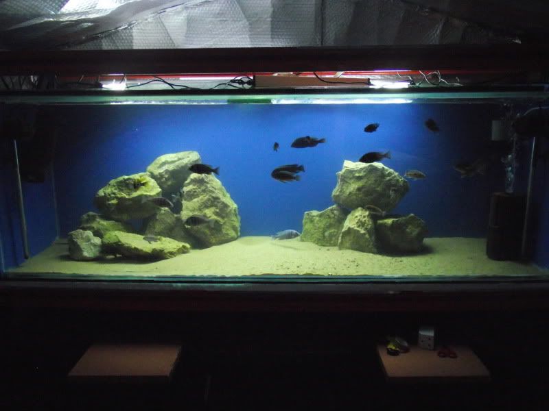 DSCF7843.jpg
