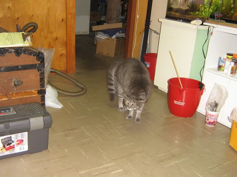 PictureorVideo456.jpg