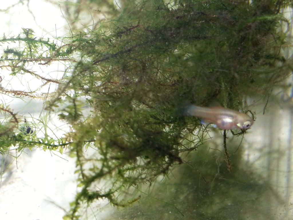 20130609_202947_zps1bc10776.jpg