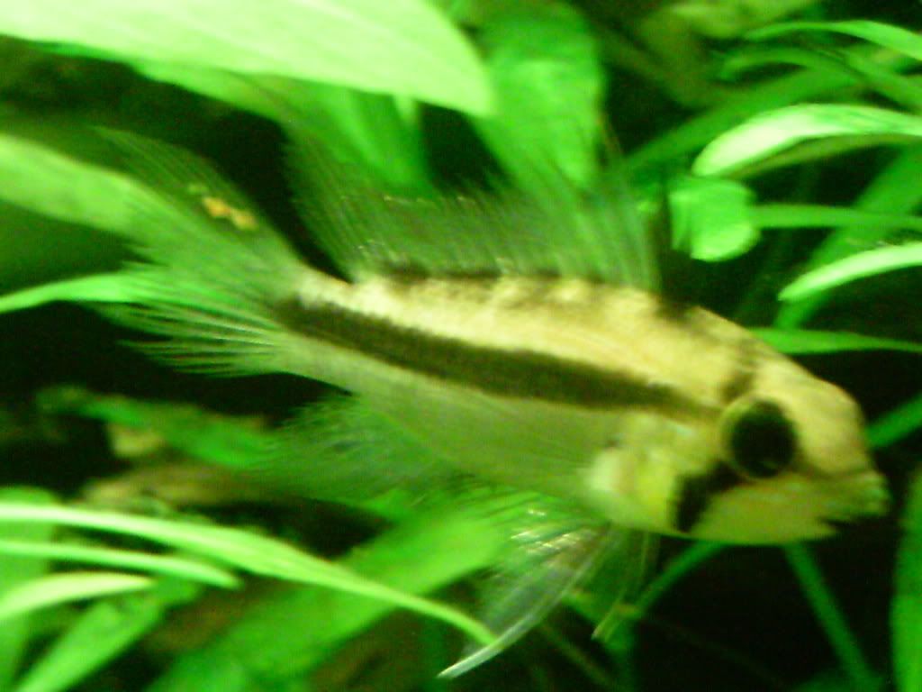 PICT0052.jpg