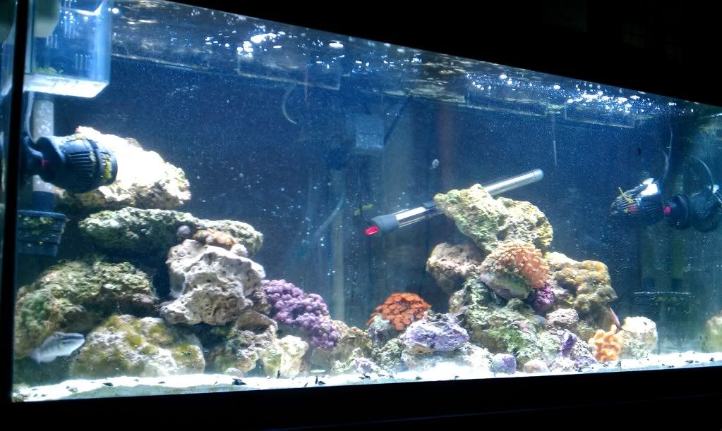 IMAG0112.jpg