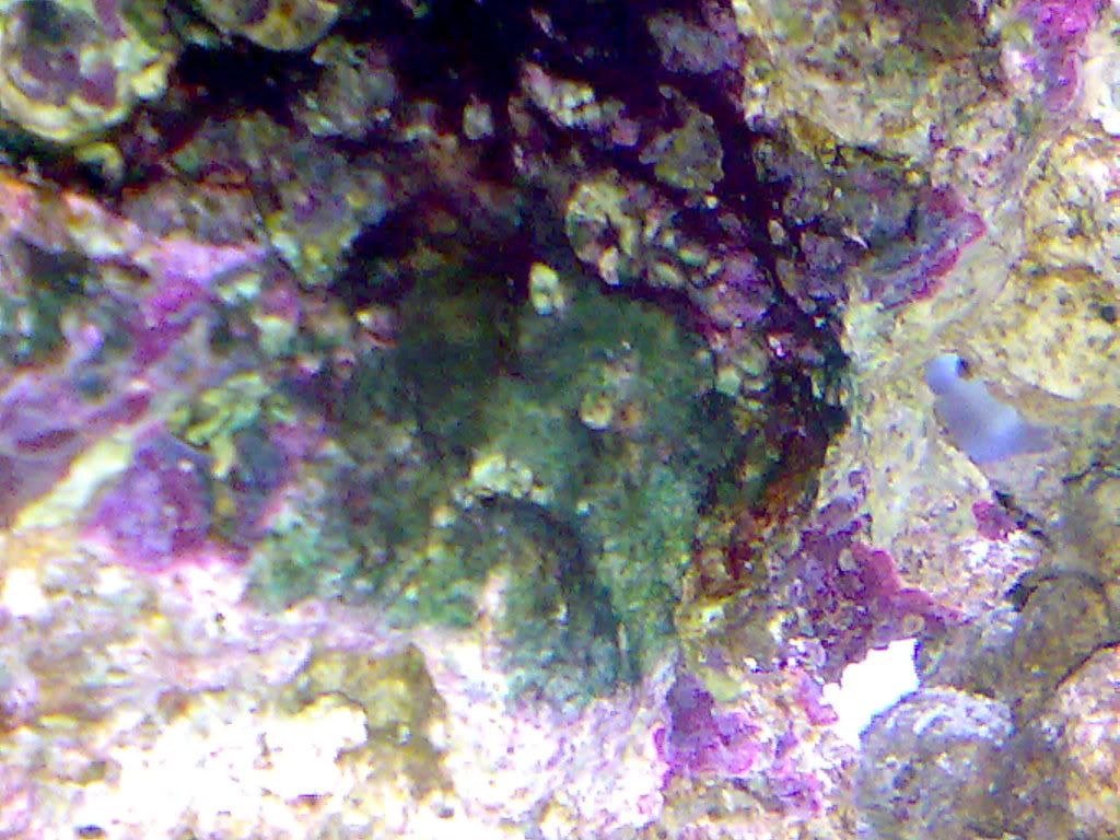 24112008068.jpg