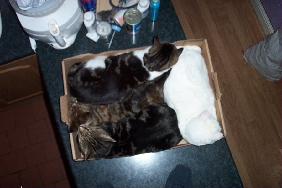 December04110.jpg