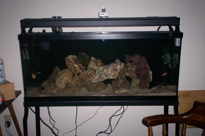 tankflash4_29_08.jpg