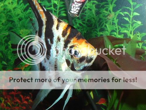 Picture_254.jpg