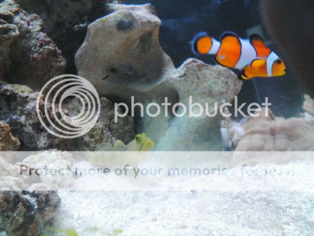 aquarium031.jpg