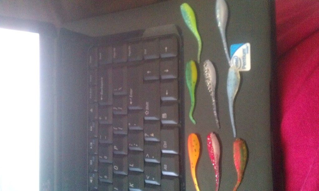 IMAG0473.jpg