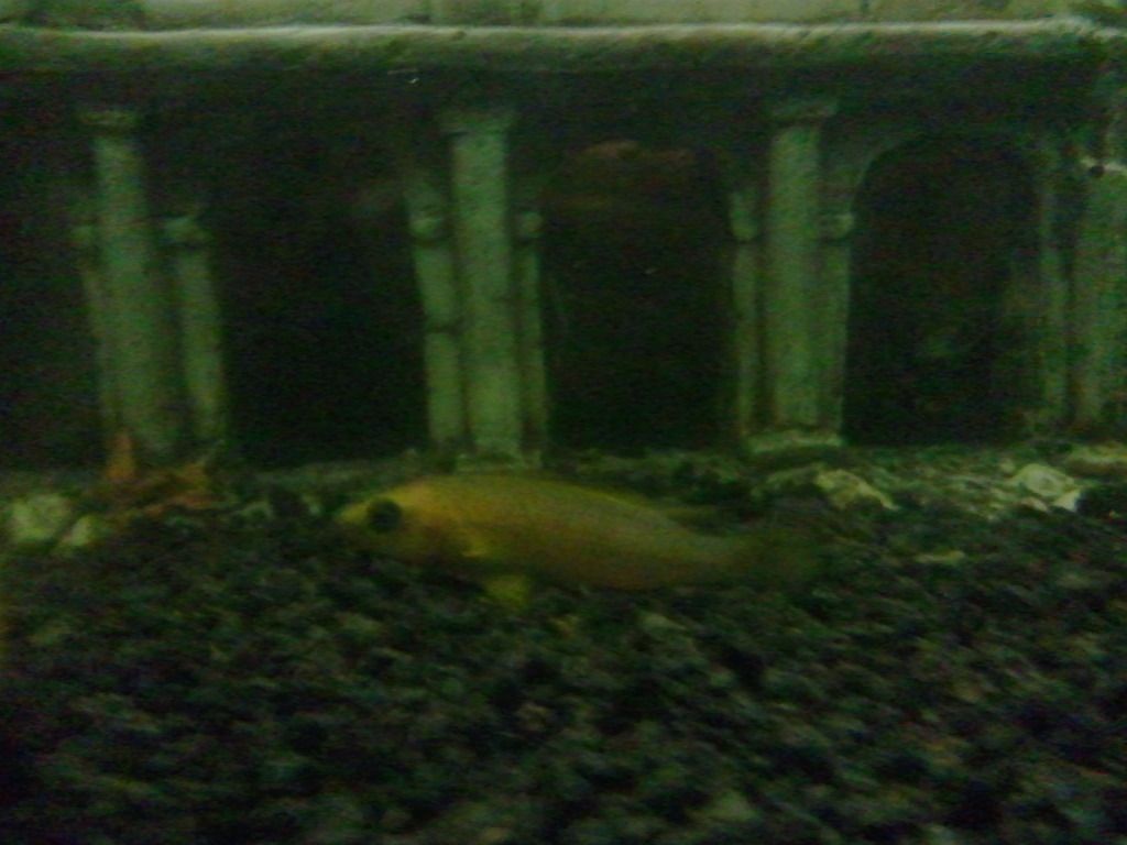2012-08-07234730.jpg