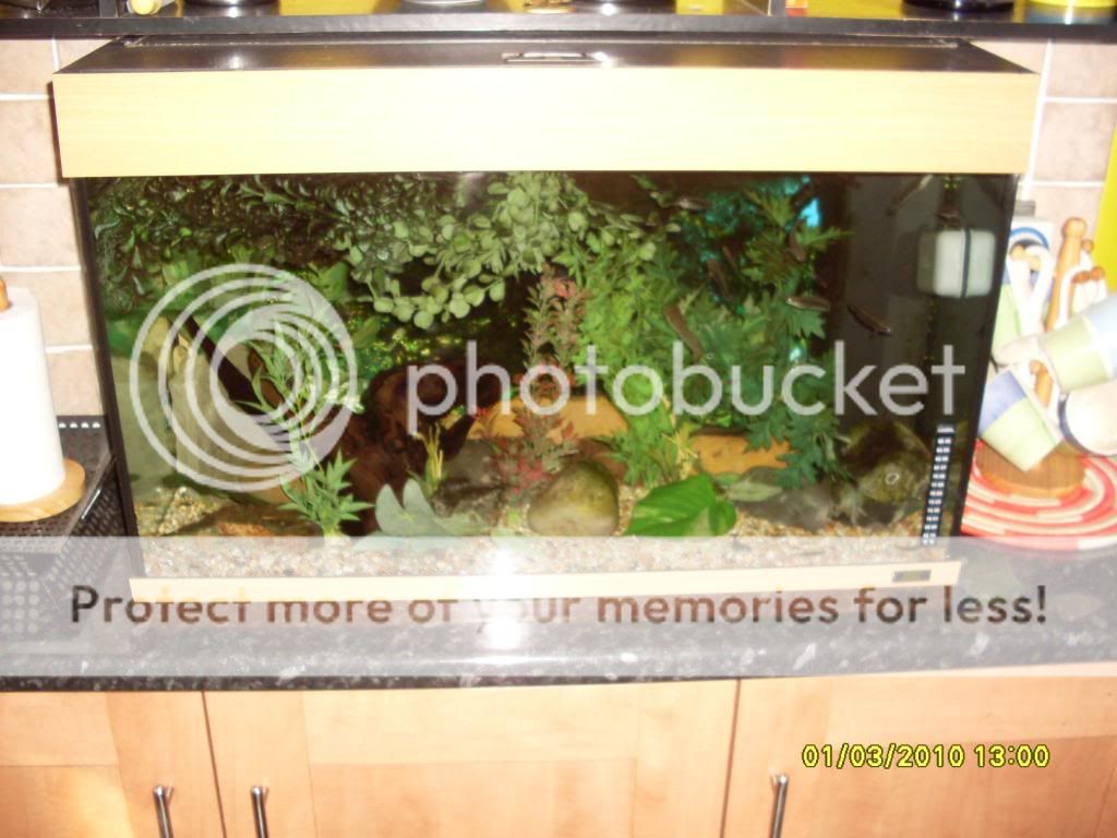march2010018.jpg